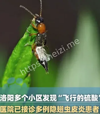 洛阳多个小区发现飞行的硫酸